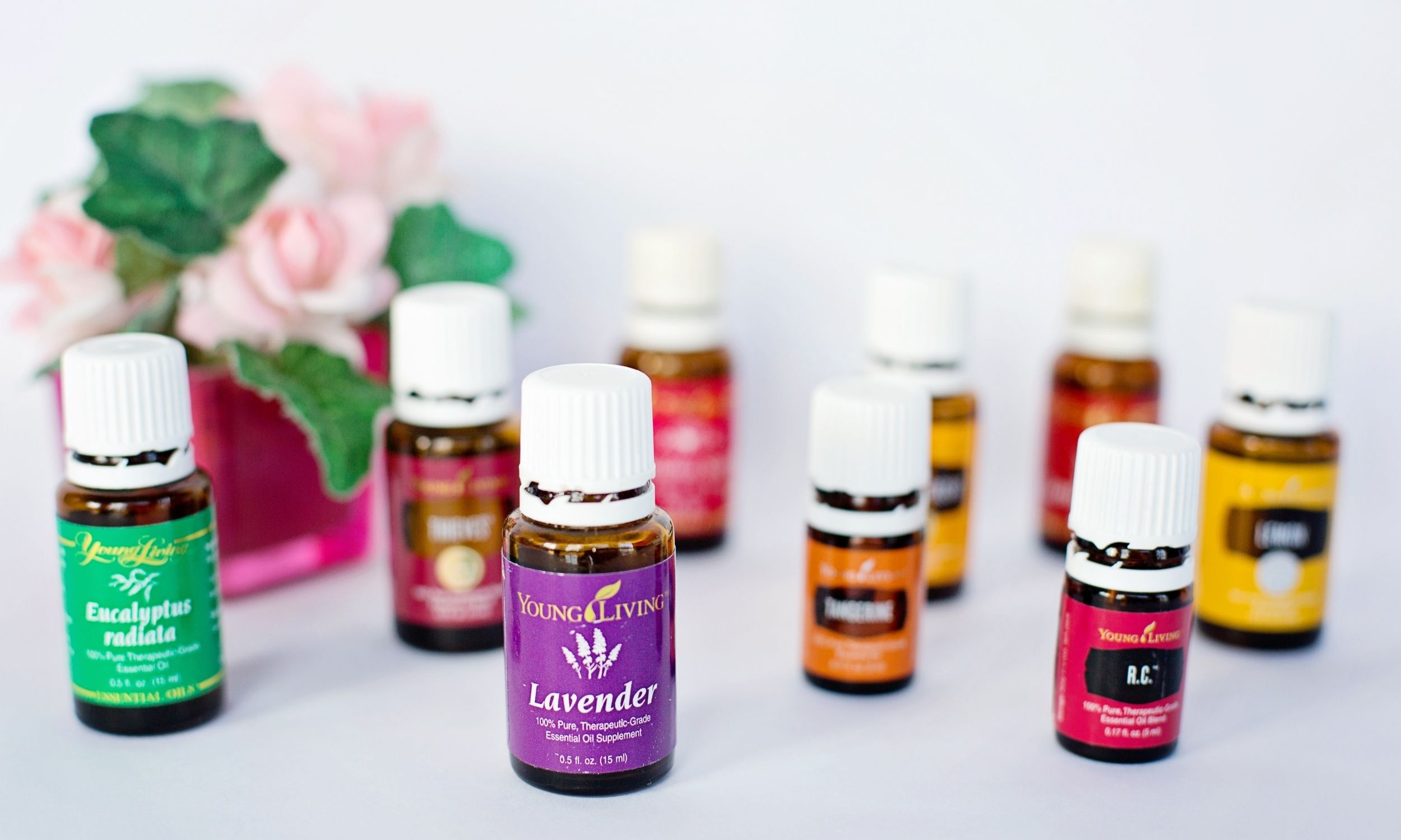 everything guide to essential oils