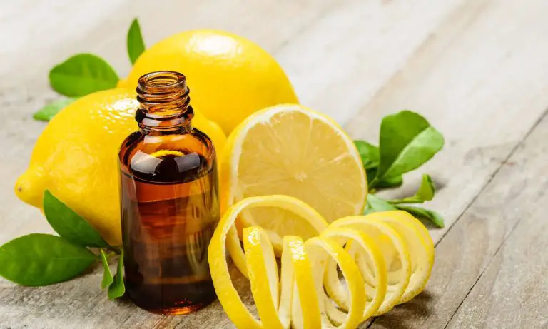13 Lemon Essential Oil Benefits for Beginners