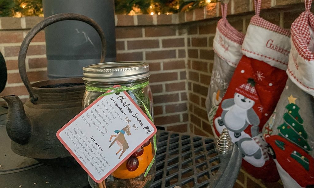 Holiday Simmer Pot