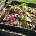 composting for beginners
