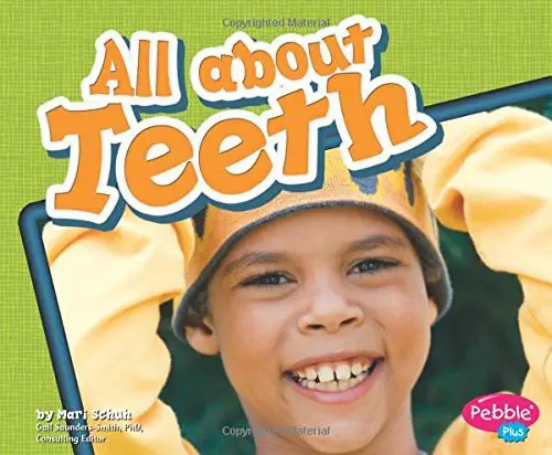 Dental Health Book