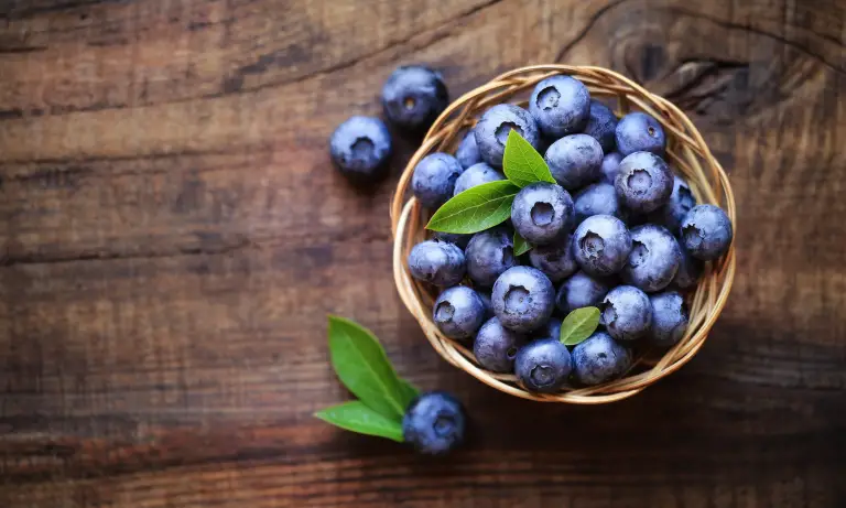 Best Fertilizer for Blueberries