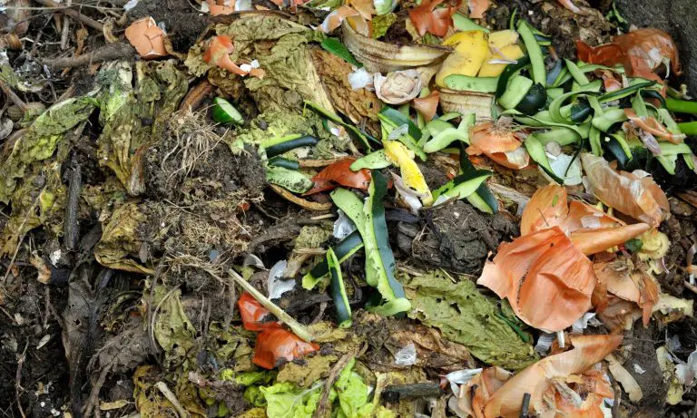 DIY Compost Bin: How to Make One Using a 5 Gallon Bucket
