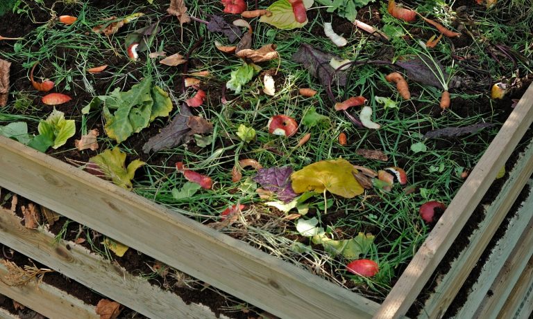 Compost vs Topsoil: Understanding the Differences