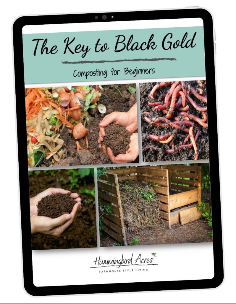The Key to Black Gold: Composting for Beginners eBook