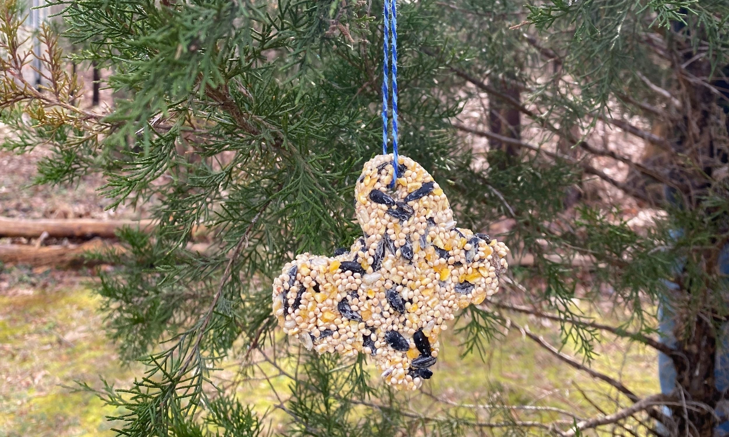 birdseed ornaments