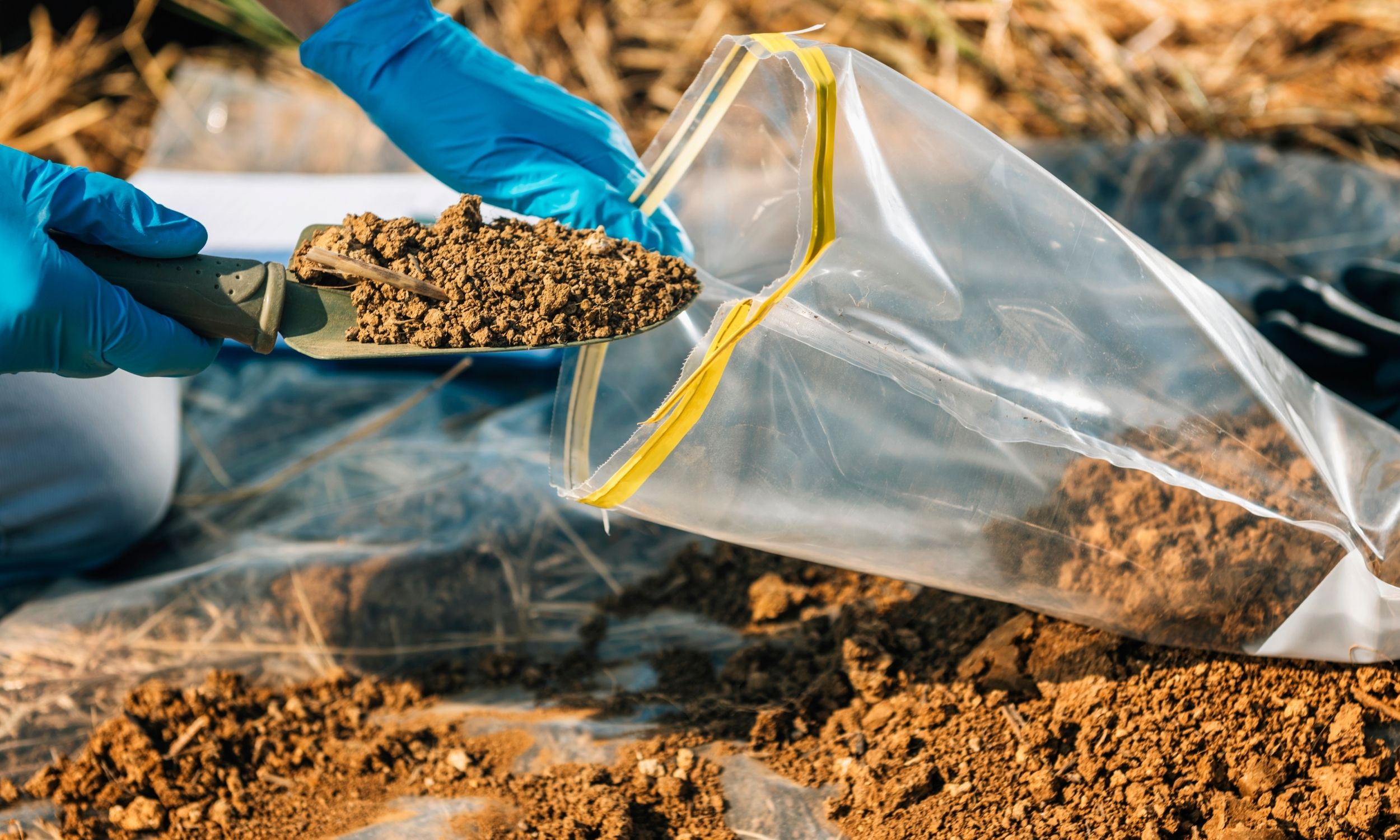 shoveling soil into a bag