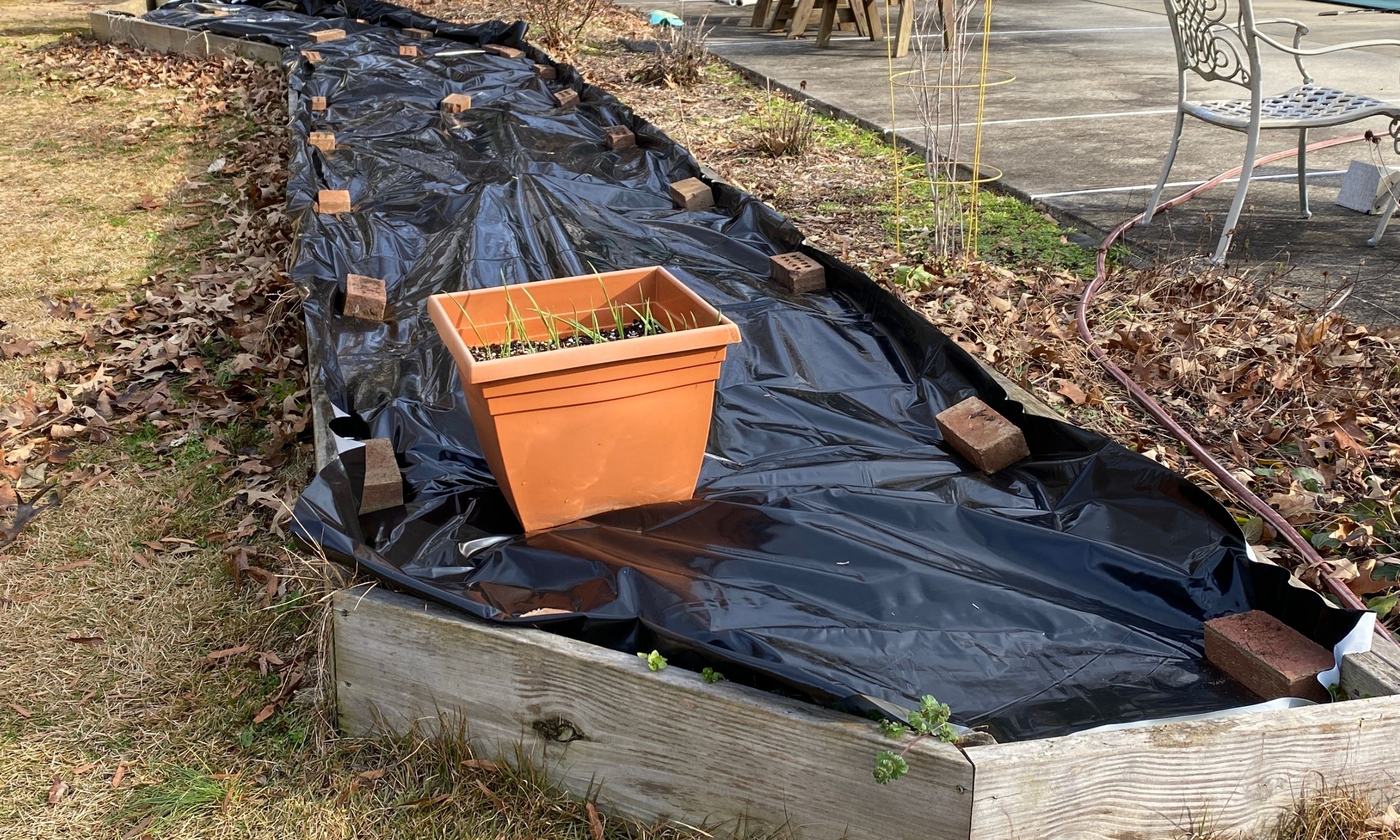 garden bed covered with silage tarp