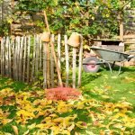 Backyard garden in the fall with leaves and a rake