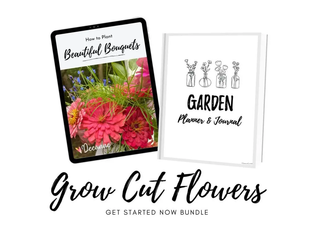 Grow Cut Flowers Quick Start Bundle