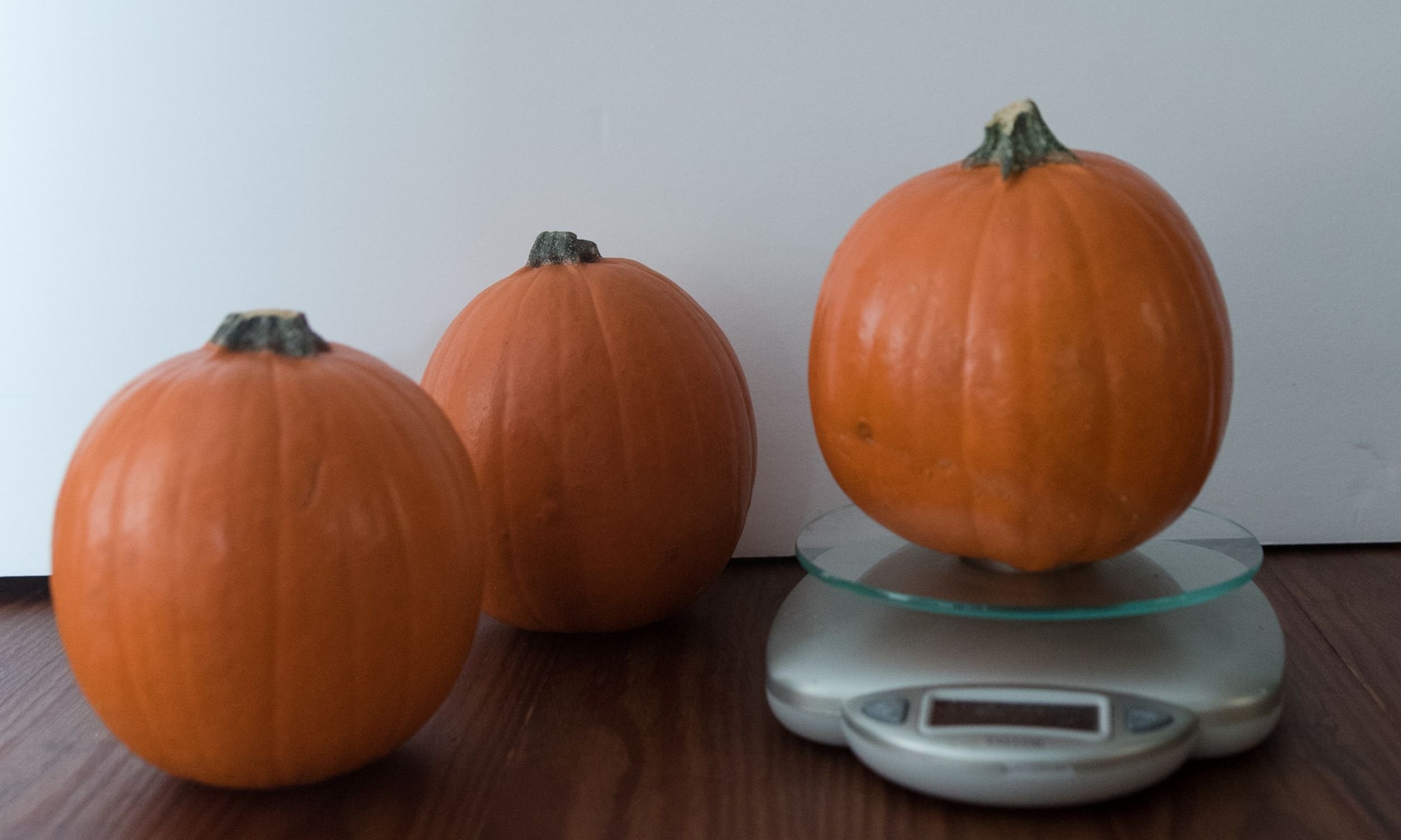 pie pumpkins on a scale