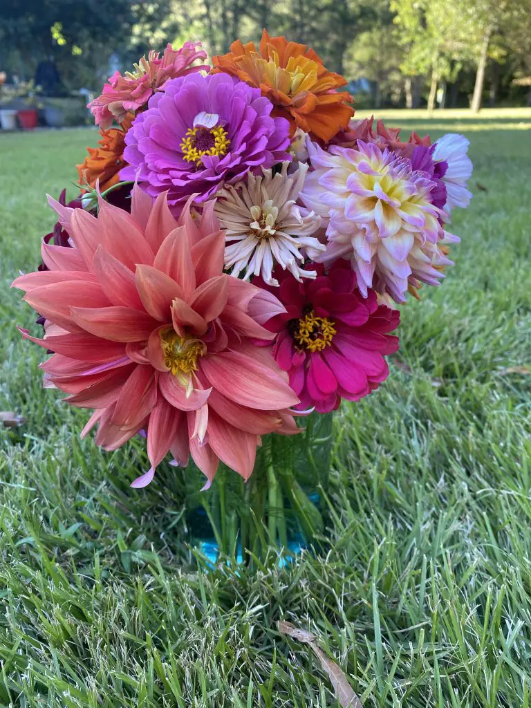 cut flowers in a mason jar on the grass