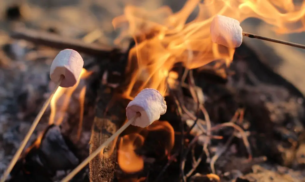 marshmallows over fire