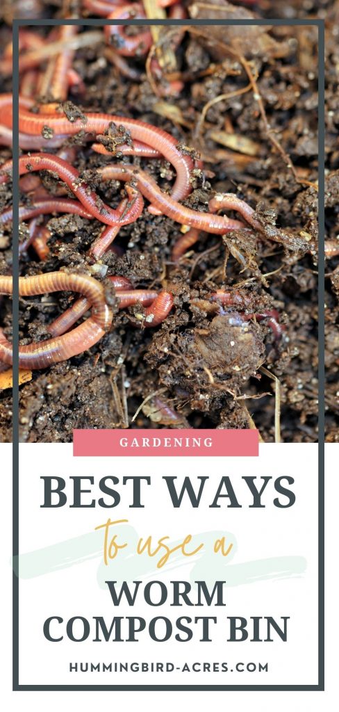 Best Ways to Use a Worm Compost Bin