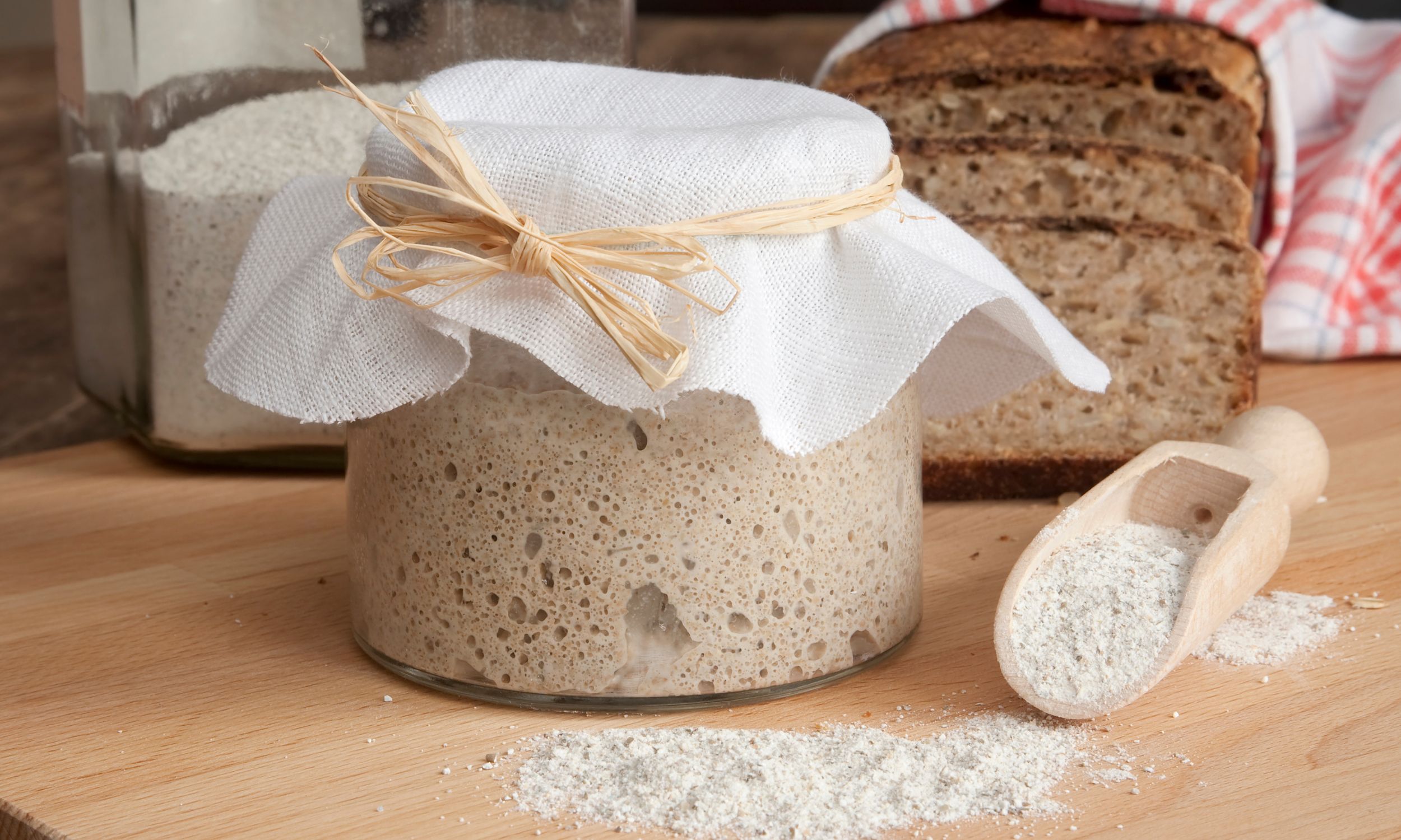 How to Tell if Your Sourdough Starter is at its Peak