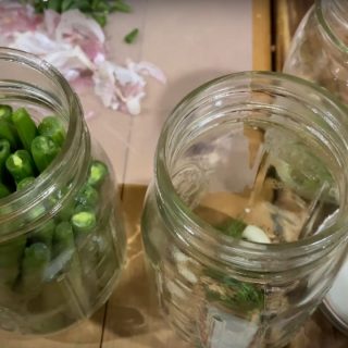 Spicy Dilly Bean Recipe
