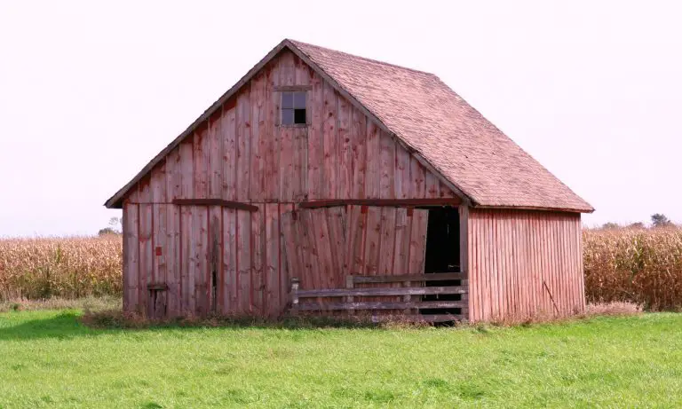 Things to Consider When Building a Barn