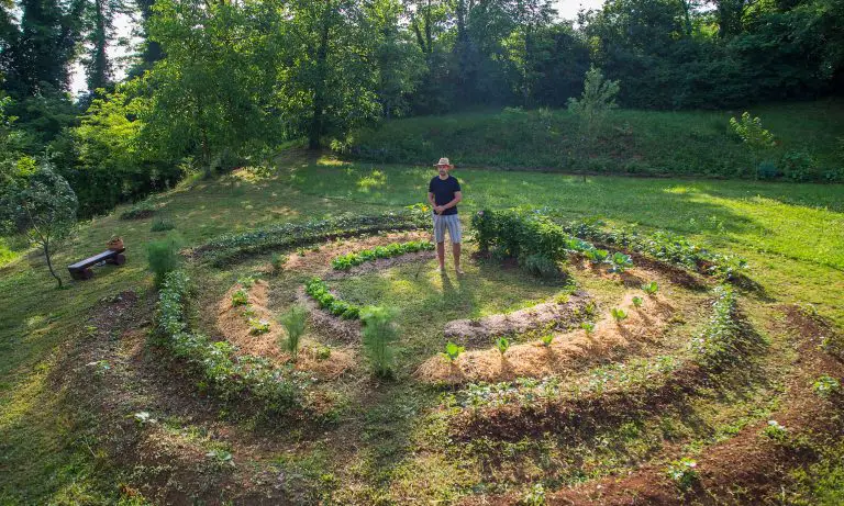 Beginners Guide to Permaculture | What is Permaculture