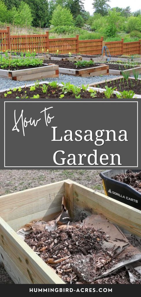 lasagna gardening PIN