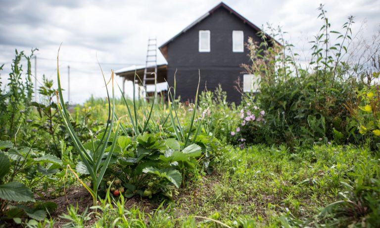 Permaculture Design and How to use it on Your Homestead