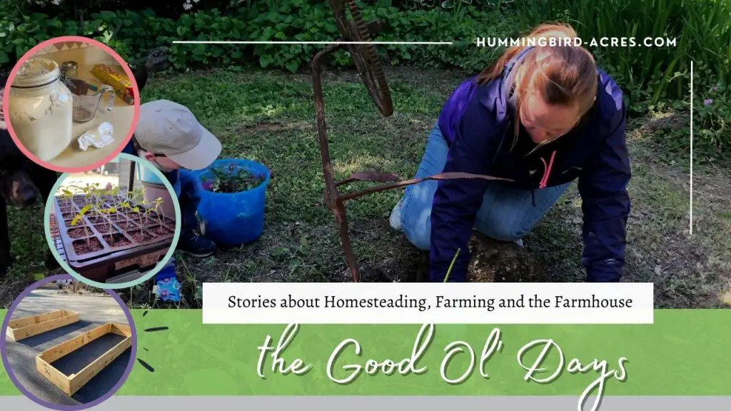 Where Homesteading Started for Us | the Good Ol’ Days