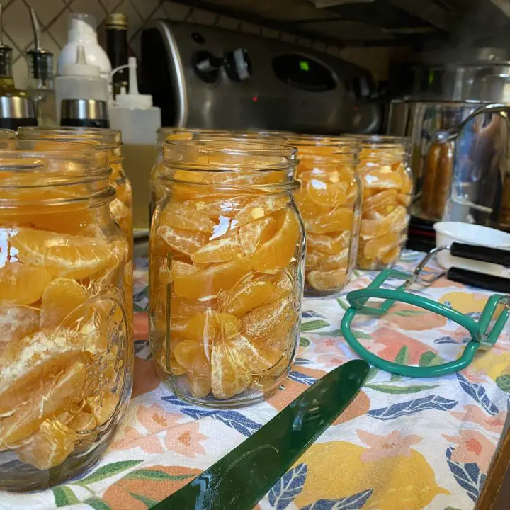Canning Mandarin Oranges