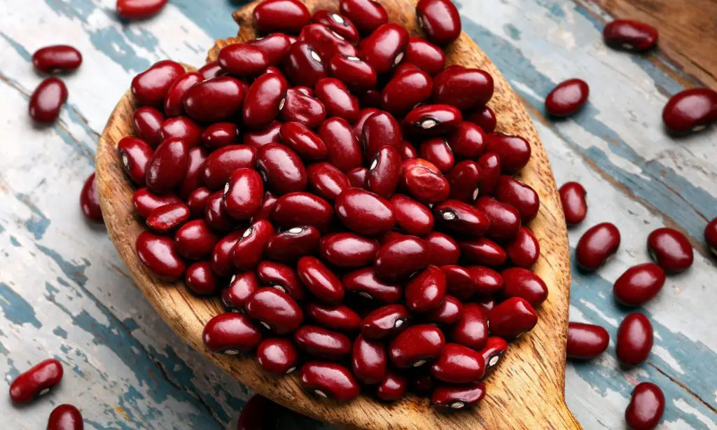 canning kidney beans-