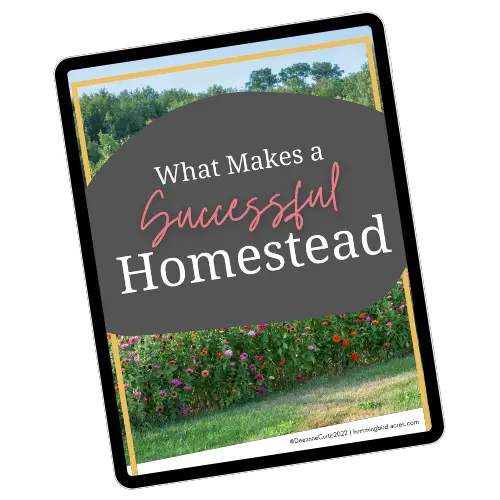 What Makes a Sucessfull Homestead -eBook