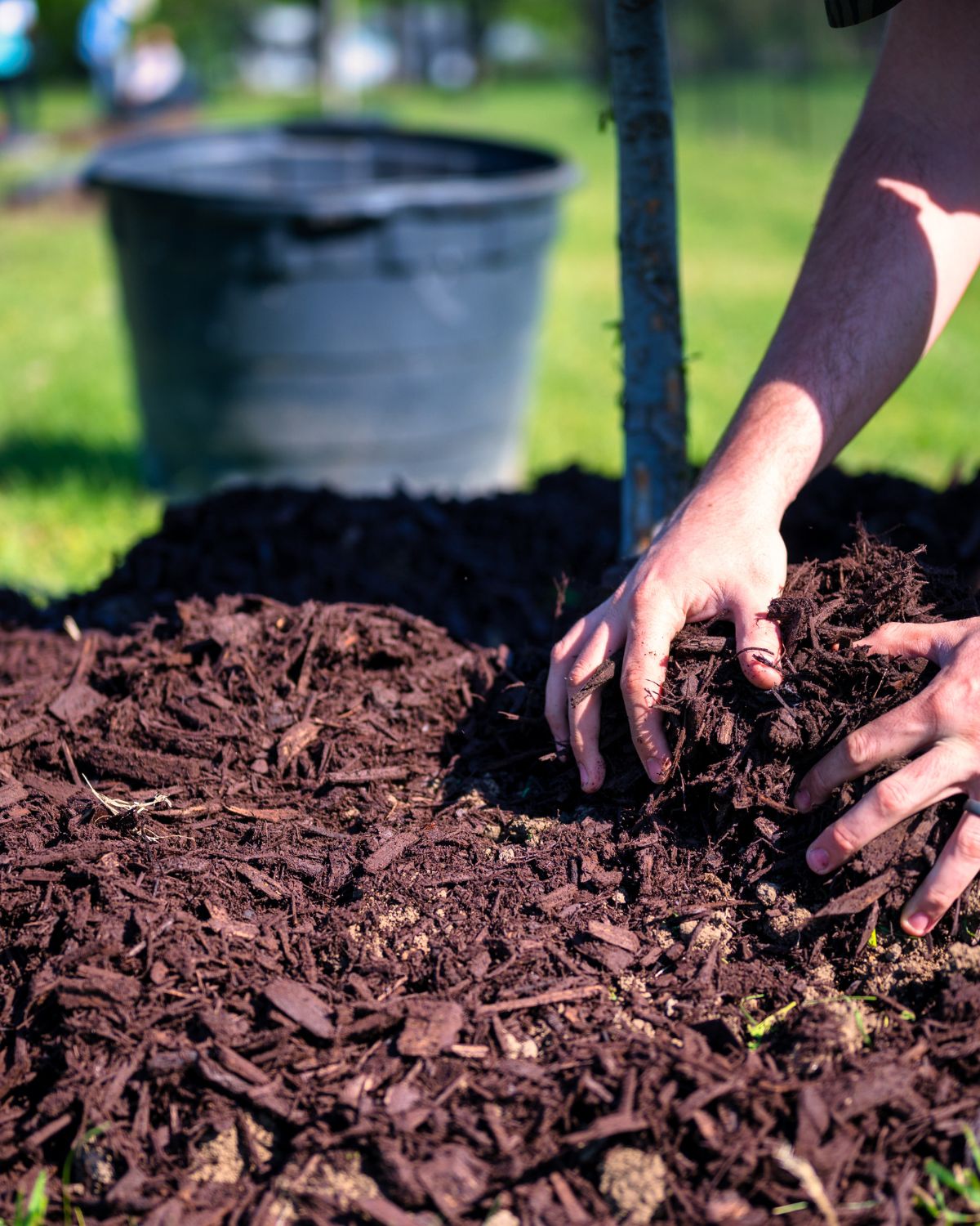 Mulching a Garden: Tips and Benefits for a Healthy and Beautiful Yard