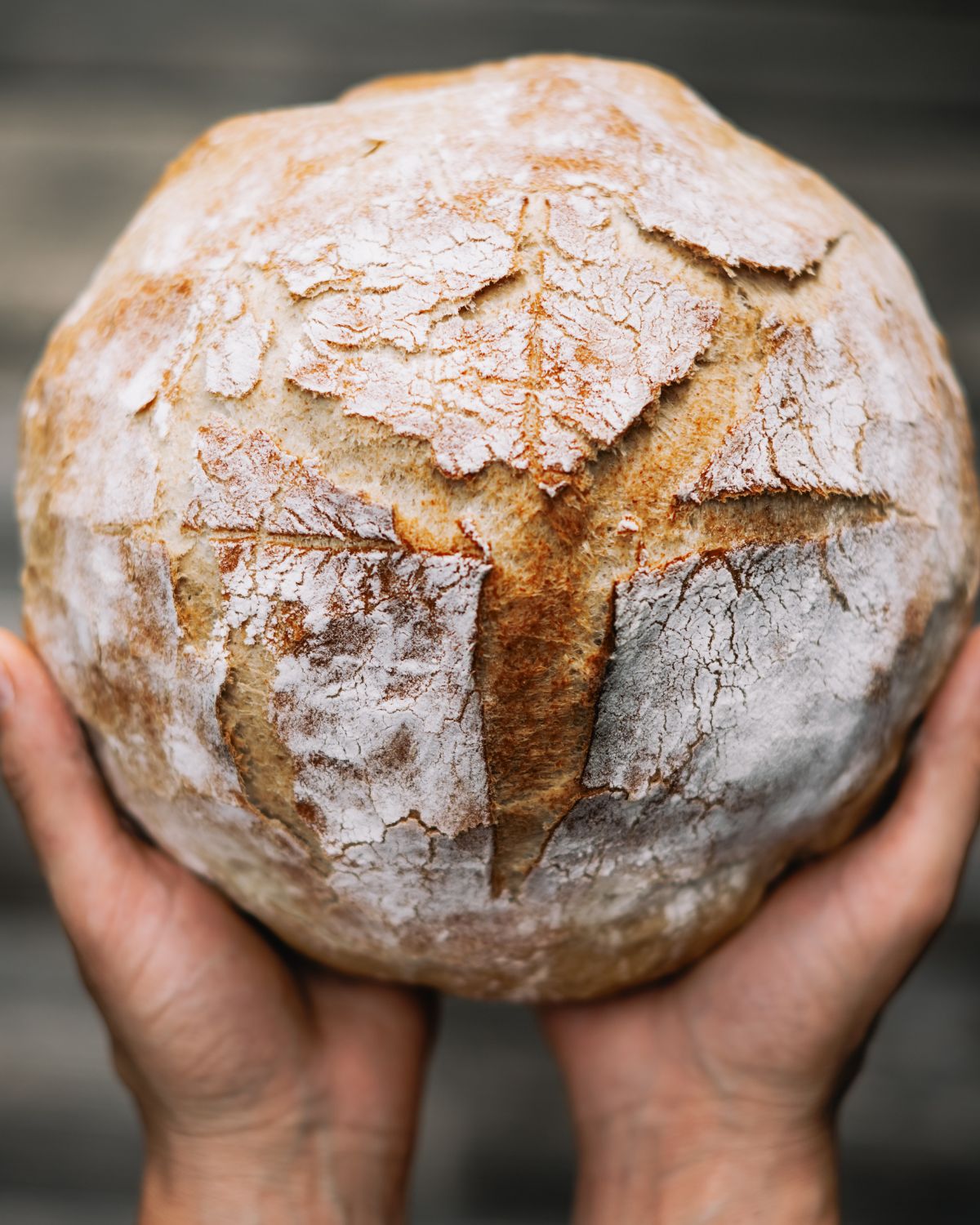 The Role of Temperature in Sourdough Baking