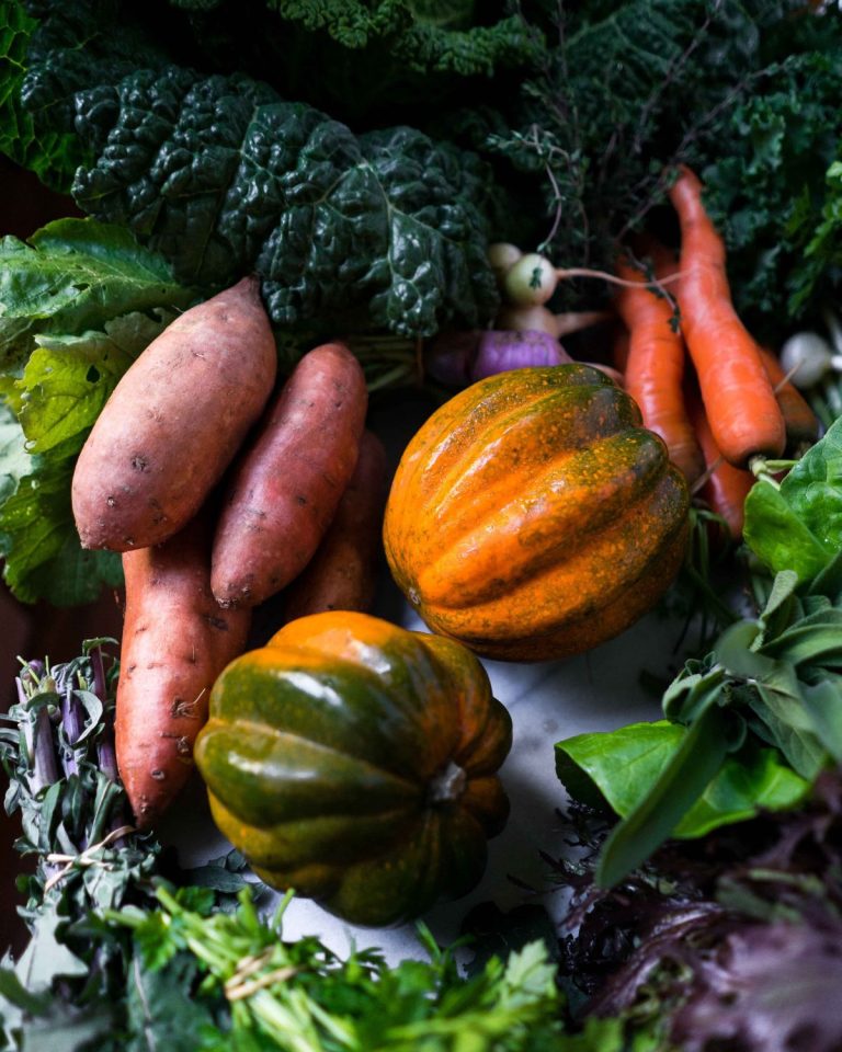 5 Easy Steps to a Productive Fall Garden