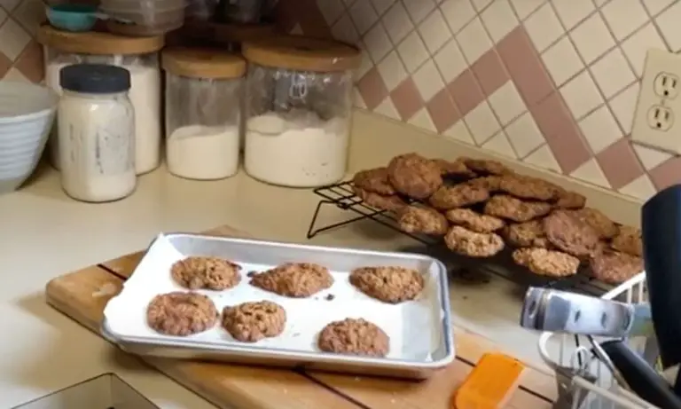 Sourdough Oatmeal Raisin Cookies