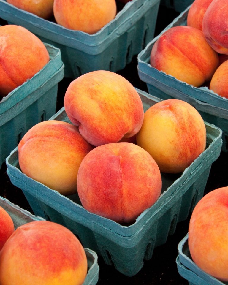 Canning Peaches – Recipe for Busy Moms