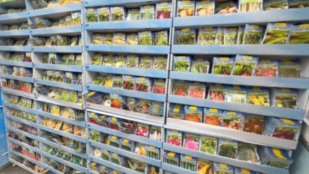 What to Buy at the Garden Center (And What NOT to Waste Money On)