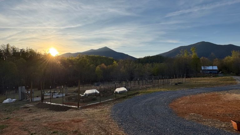 Spring Garden Tour: How We’re Building a Productive Backyard Homestead (Without Perfection)