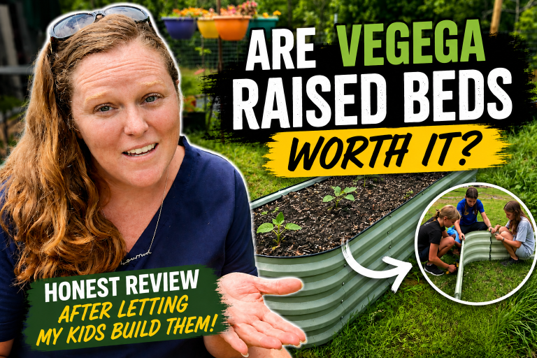 Are Vegega Raised Beds Worth It? Our Honest Review After Letting My Kids Build Them